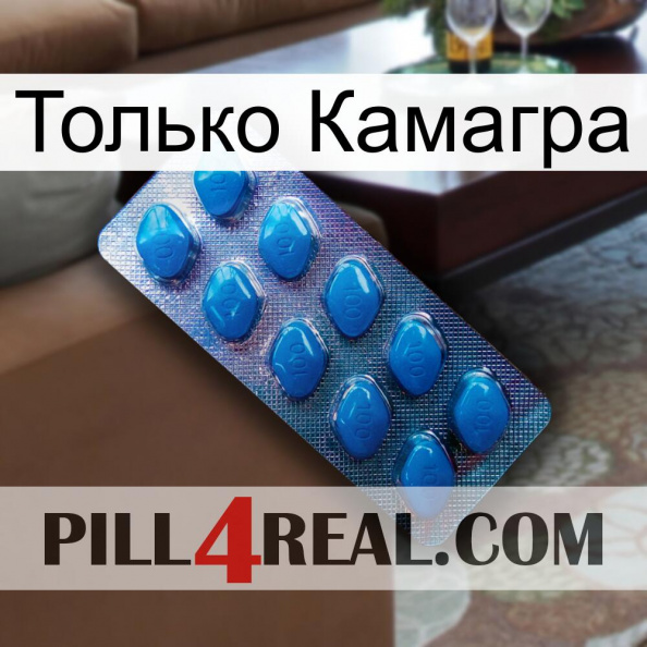 Только Камагра viagra1.jpg